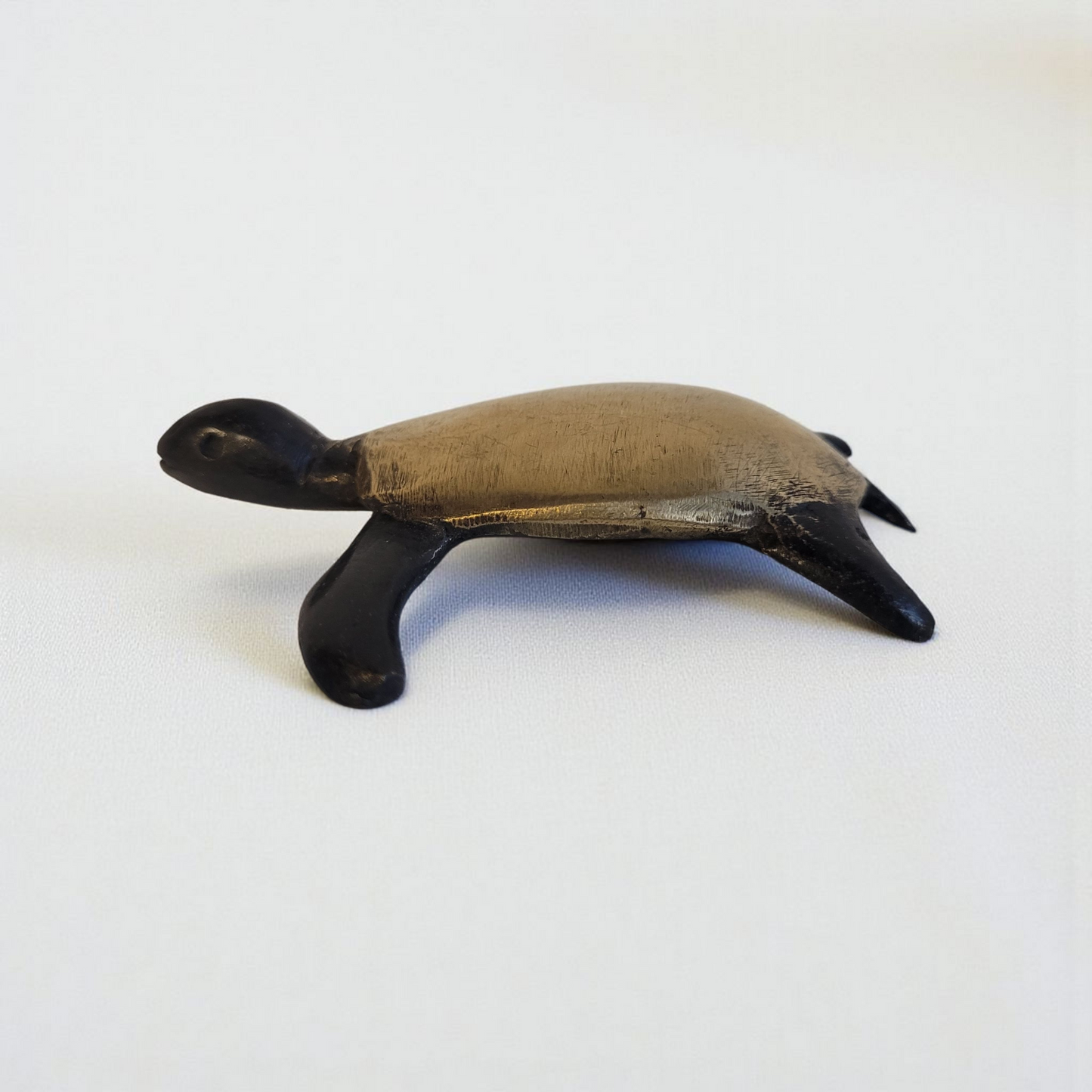 Schildkröte Baby Meeresschildkröte aus Bronze | by Issouf Iboudou