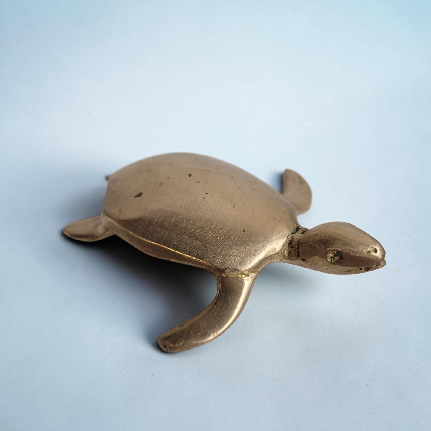 Schildkröte Baby Meeresschildkröte aus Bronze | Gold | by Issouf Iboudou